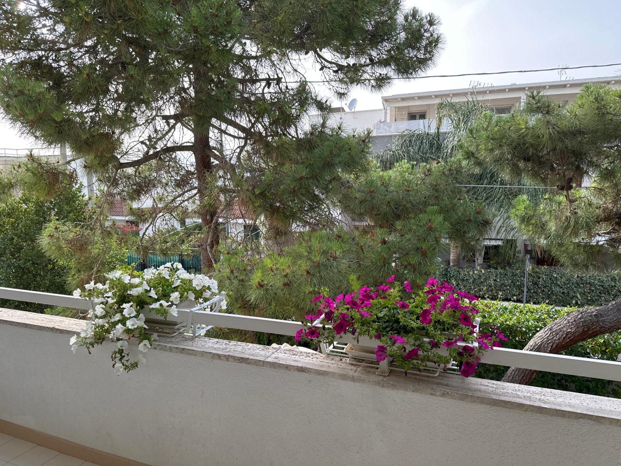 Villa Teresa Maria Porto Cesareo Ngoại thất bức ảnh